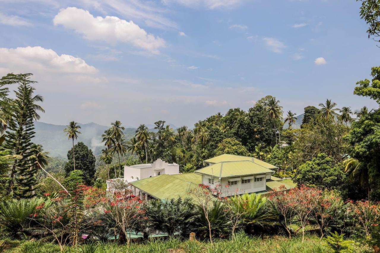 The Flame Tree Estate & 5*